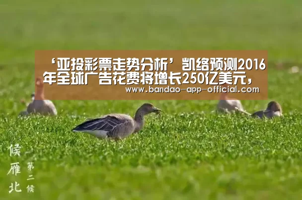 ‘亚投彩票走势分析’凯络预测2016年全球广告花费将增长250亿美元，同比增幅4
