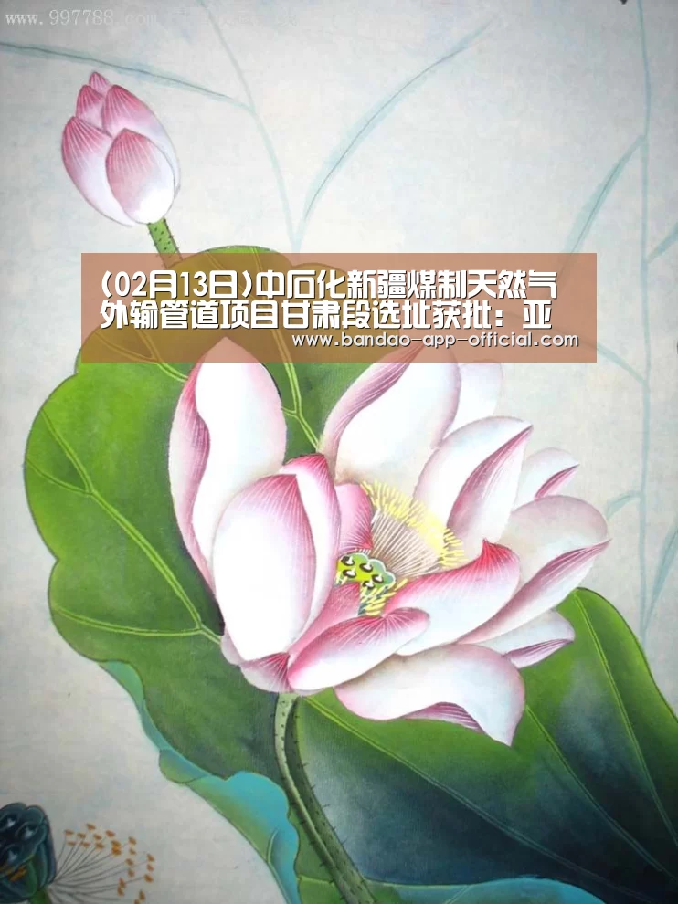(02月13日)中石化新疆煤制天然气外输管道项目甘肃段选址获批：亚投彩票官网